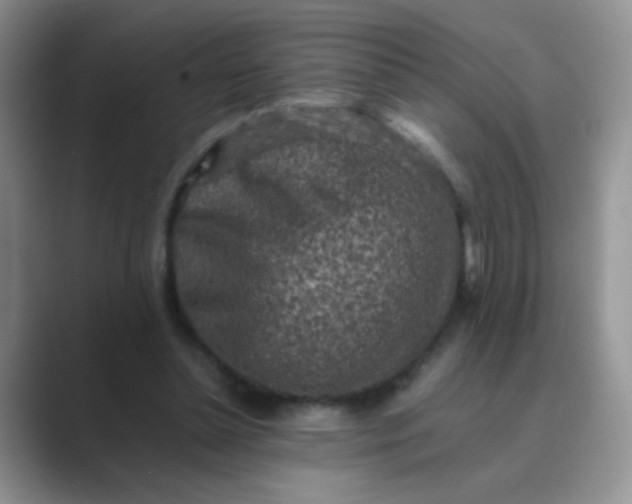 X0000089710348200707051705