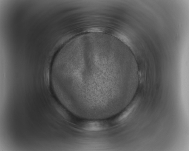 X0000089710349200707051705