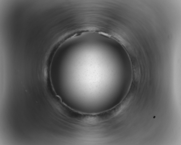 X0000089710350200707051706