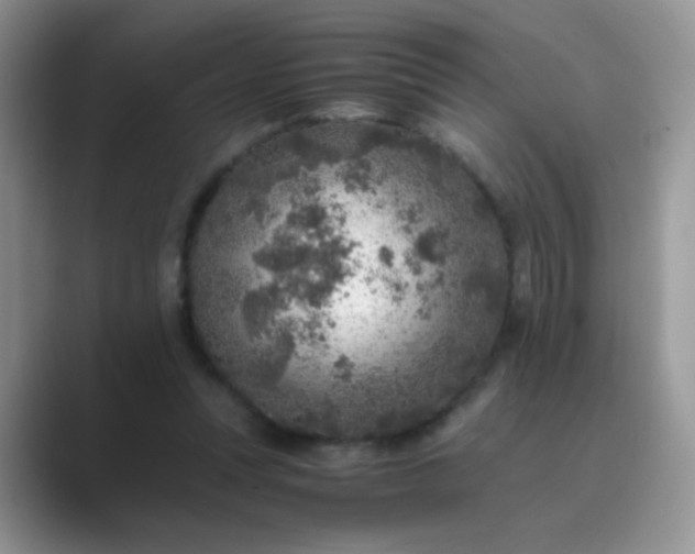 X0000089710351200707051706