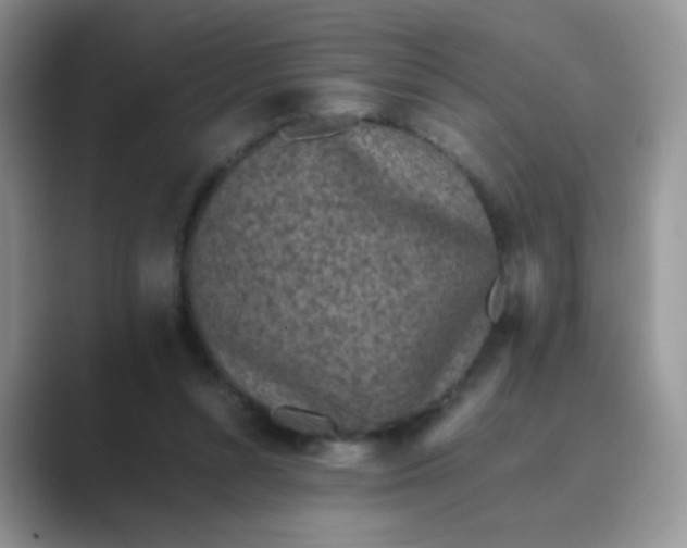 X0000089710352200707051706