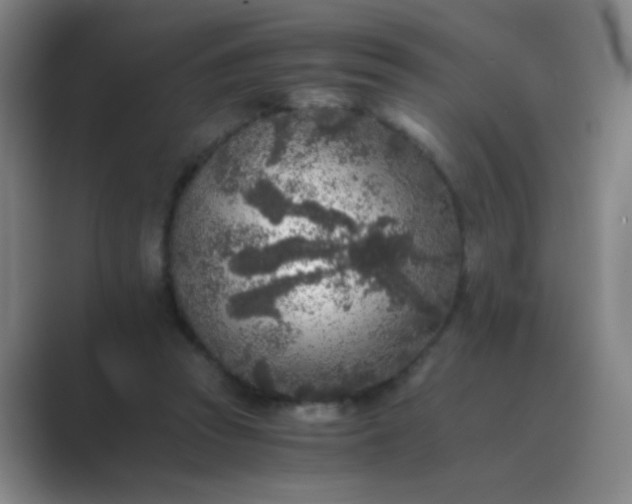 X0000089710353200707051706