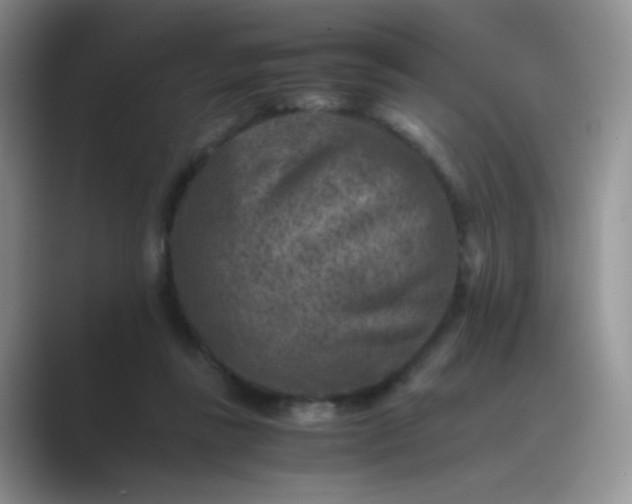 X0000089710355200707051706