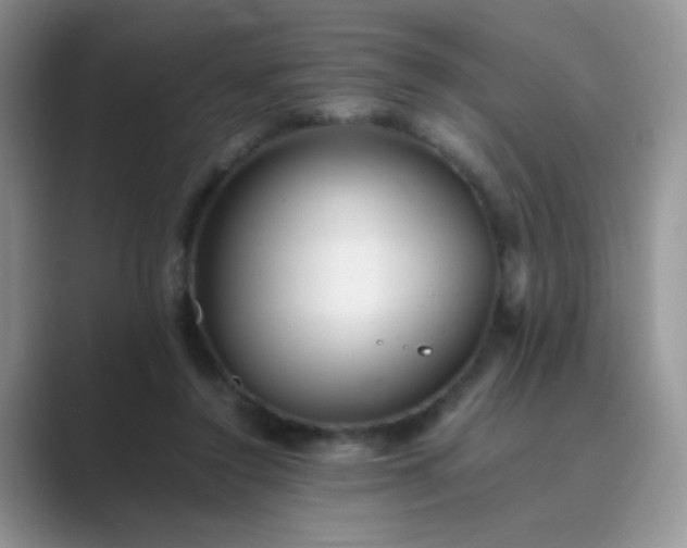 X0000089710356200707051706