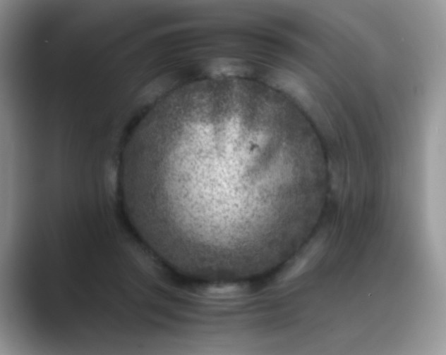 X0000089710357200707051706