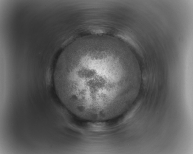 X0000089710359200707051706