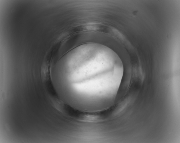 X0000089710360200707051706