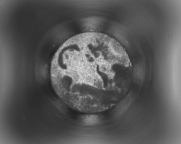 X0000089710361200707051706