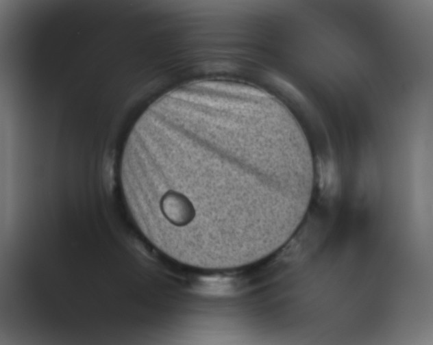 X0000089710362200707051706