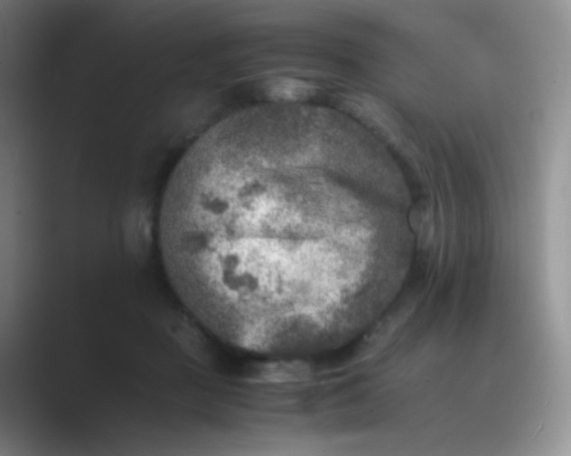 X0000089710363200707051706