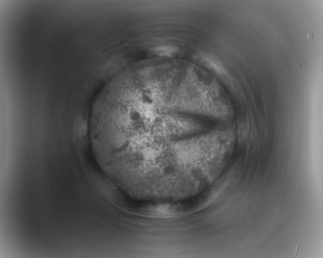 X0000089710365200707051706