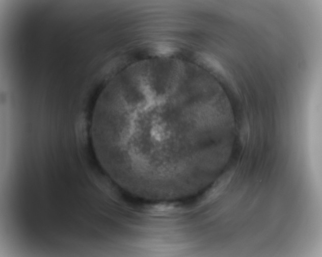 X0000089710366200707051706