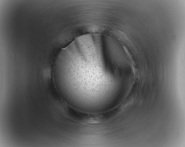 X0000089710368200707051706