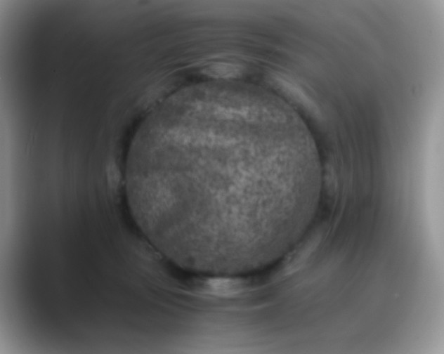 X0000089710371200707051706