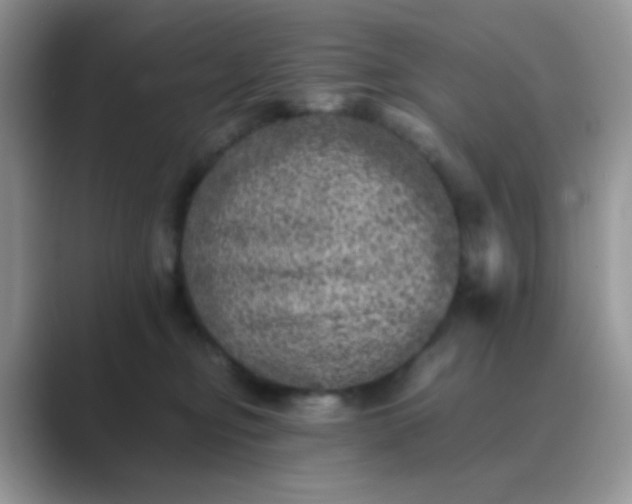 X0000089710374200707051706