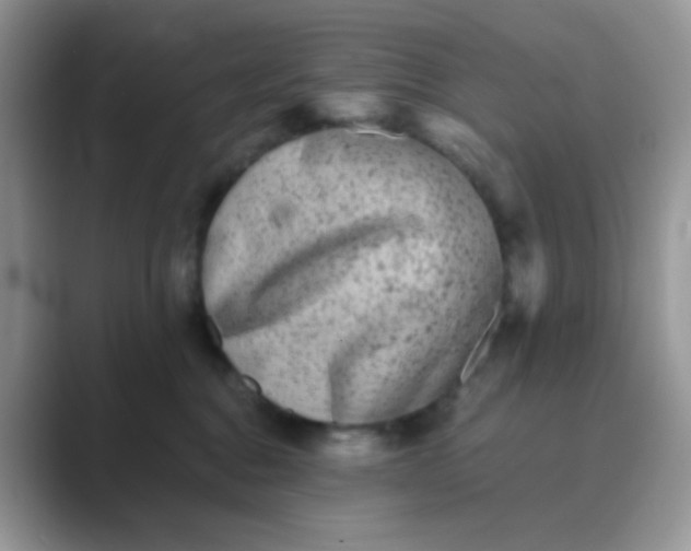 X0000089710376200707051706