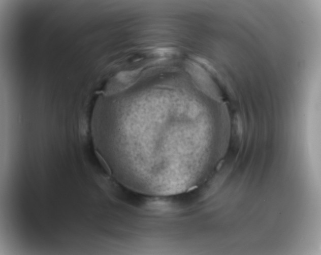 X0000089710380200707051706