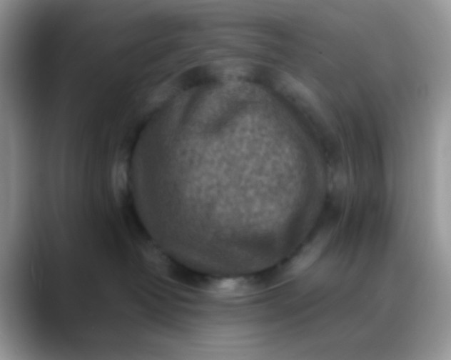 X0000089710382200707051706