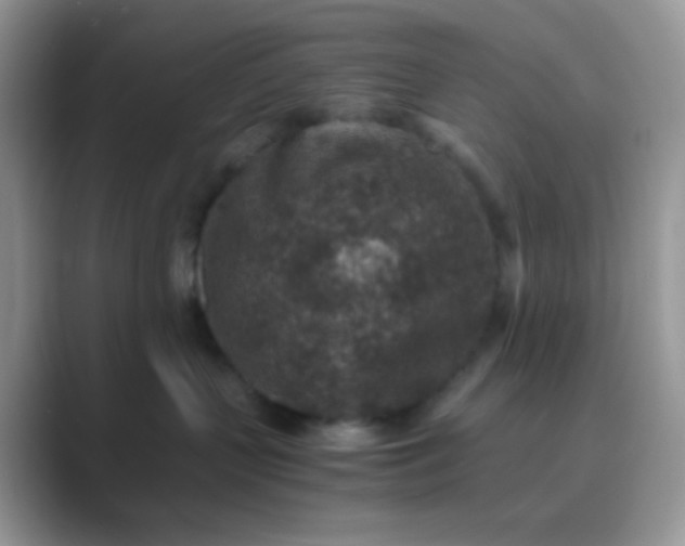 X0000089710383200707051706