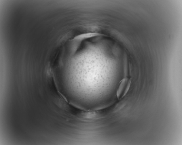 X0000089710384200707051706