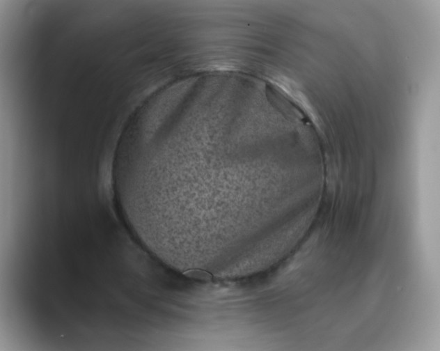 X0000089710386200707051705