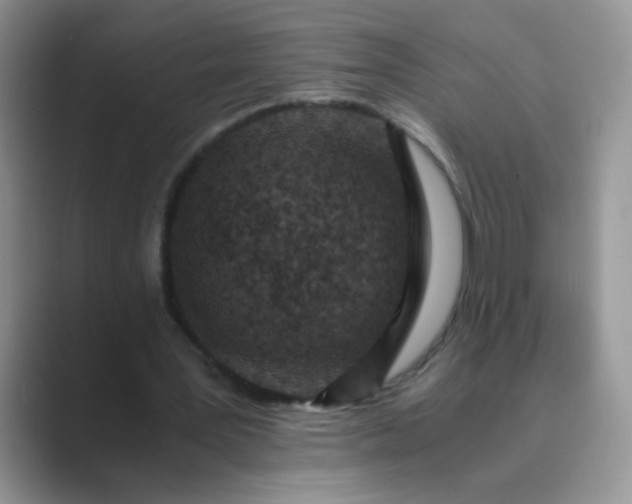 X0000089710387200707051705