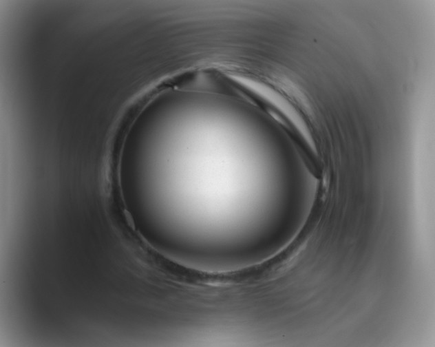 X0000089710388200707051705