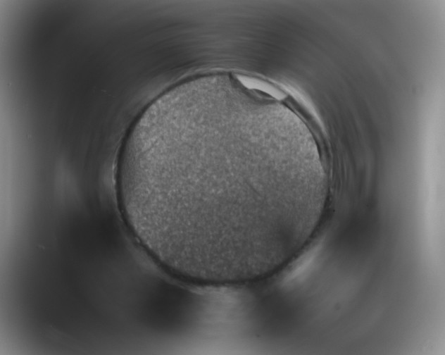 X0000089710389200707051705