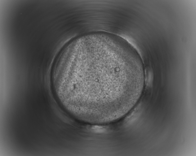 X0000089710390200707051705