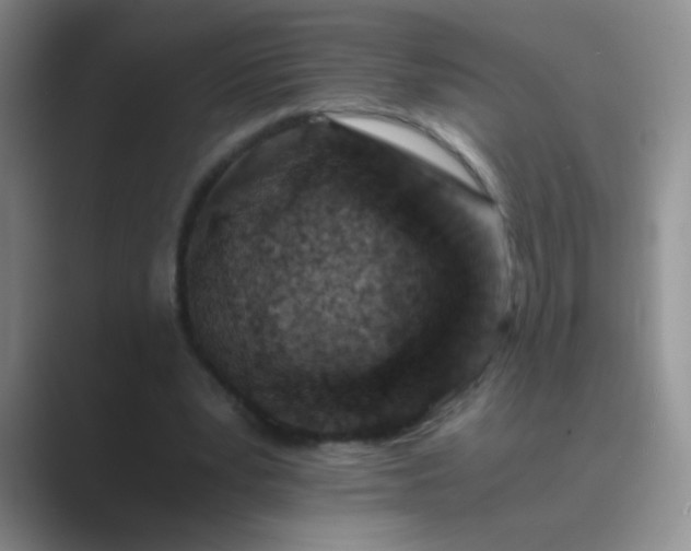 X0000089710391200707051705