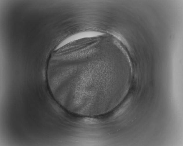 X0000089710393200707051705