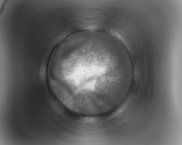 X0000089710394200707051705