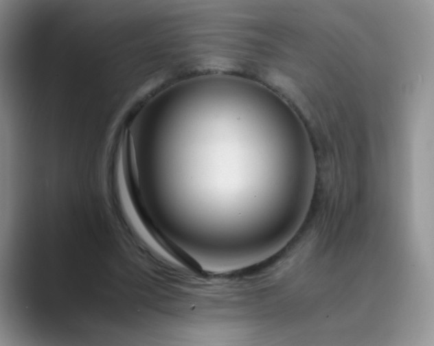 X0000089710395200707051705