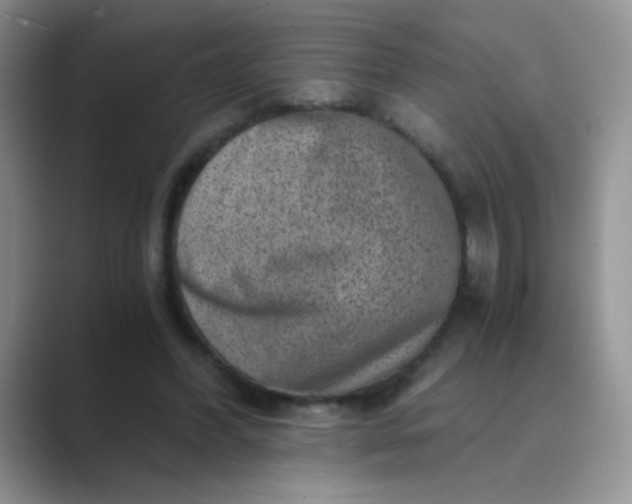 X0000089710396200707051705