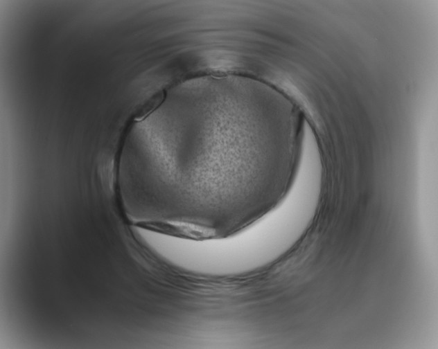 X0000089710397200707051705