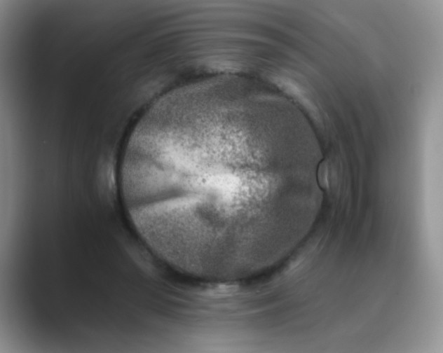 X0000089710398200707051705