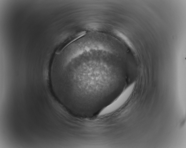 X0000089710399200707051705