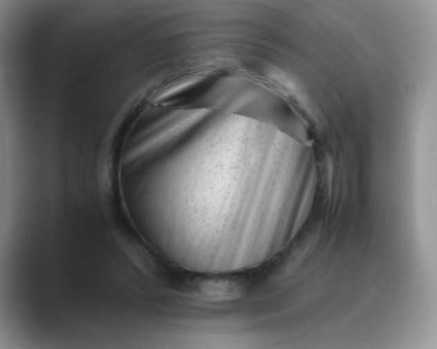 X0000089710400200707051705