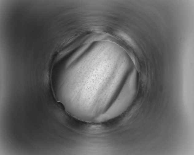 X0000089710401200707051705