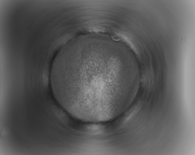 X0000089710402200707051705