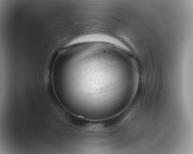 X0000089710403200707051705