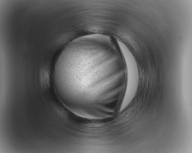 X0000089710404200707051705