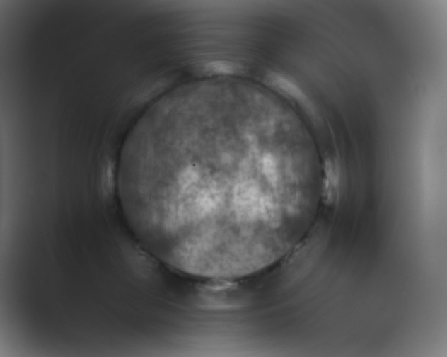 X0000089710410200707051705