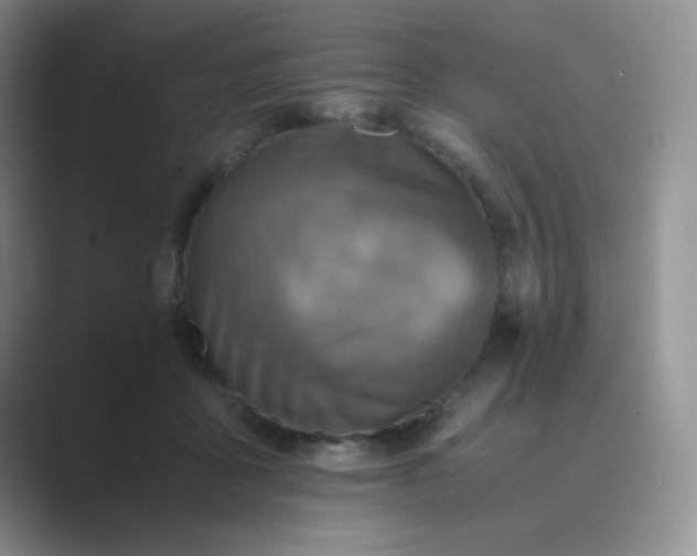 X0000089710411200707051705