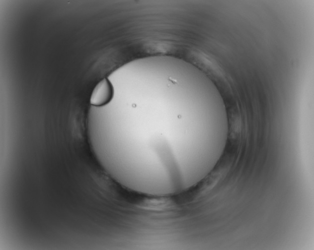 X0000089710414200707051705