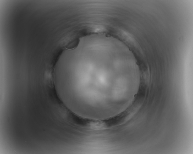 X0000089710415200707051705