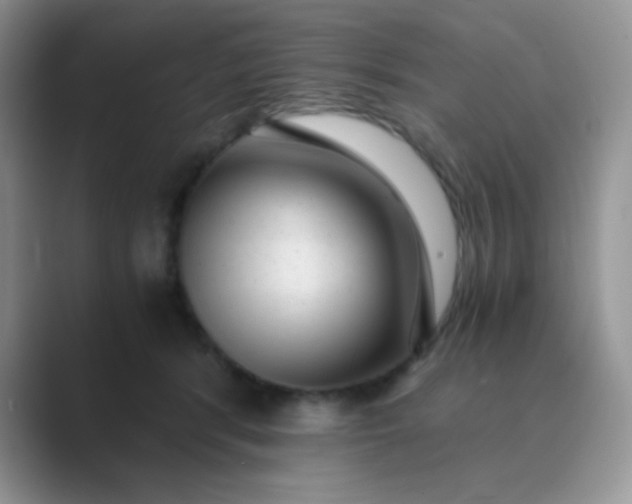 X0000089710416200707051705