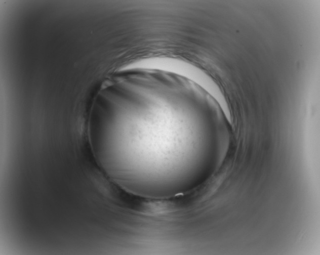 X0000089710417200707051705