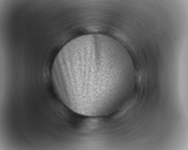 X0000089710418200707051705