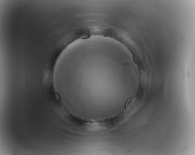 X0000089710419200707051705